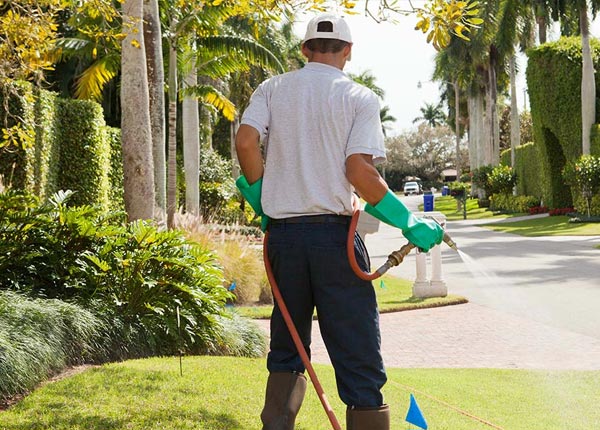 About Holabird SD Pest Control